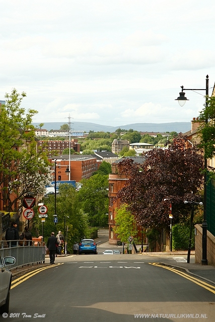 Scott Street