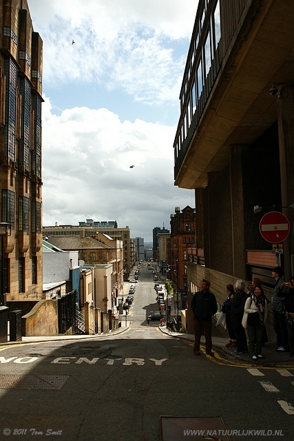 Scott Street