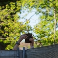 PTS-20180505-00261